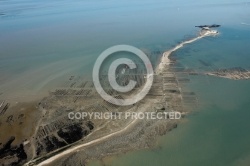 Parcs à huîtres Pointe de la Fumée à Fouras Parcs à huîtres Pointe de la Fumée à Fouras